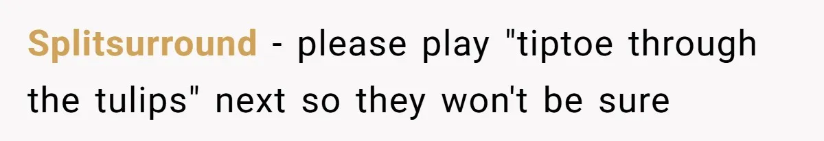 Splitsurround − please play "tiptoe through the tulips" next so they won't be sure