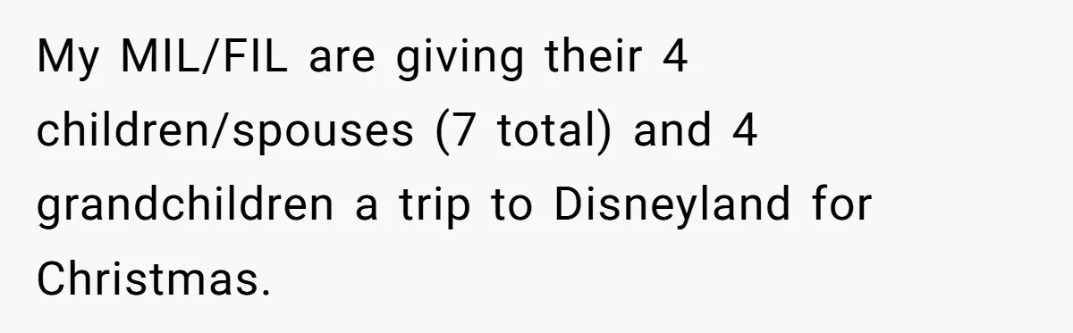 My MIL/FIL are giving their 4 children/spouses (7 total) and 4 grandchildren a trip to Disneyland for Christmas.