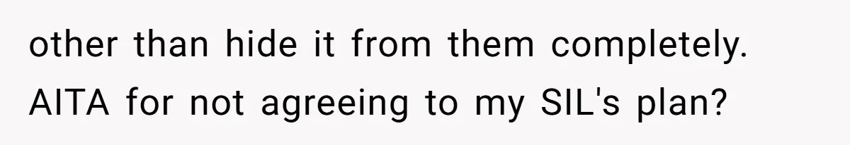 other than hide it from them completely. AITA for not agreeing to my SIL's plan?