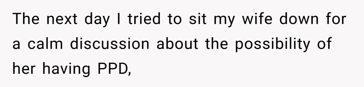 The next day I tried to sit my wife down for a calm discussion about the possibility of her having PPD,