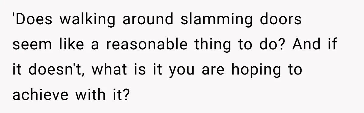 'Does walking around slamming doors seem like a reasonable thing to do? And if it doesn't, what is it you are hoping to achieve with it?