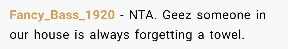 Stepson Asks For Towel, Fiancé's Reaction Out Of "Tough Love" Leaves Everyone Confused Fancy_Bass_1920 − NTA. Geez someone in our house is always forgetting a towel.