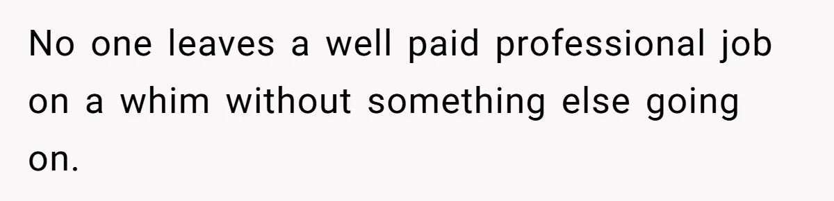 No one leaves a well paid professional job on a whim without something else going on.