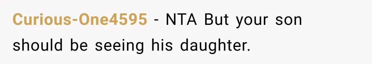 Husband Walks Out On His Family And Leaves Young Daughter Behind For Days After Wife's Affair Curious-One4595 − NTA But your son should be seeing his daughter.