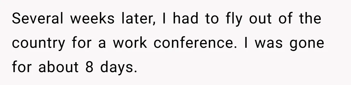 Several weeks later, I had to fly out of the country for a work conference. I was gone for about 8 days.