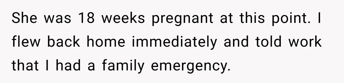 She was 18 weeks pregnant at this point. I flew back home immediately and told work that I had a family emergency.
