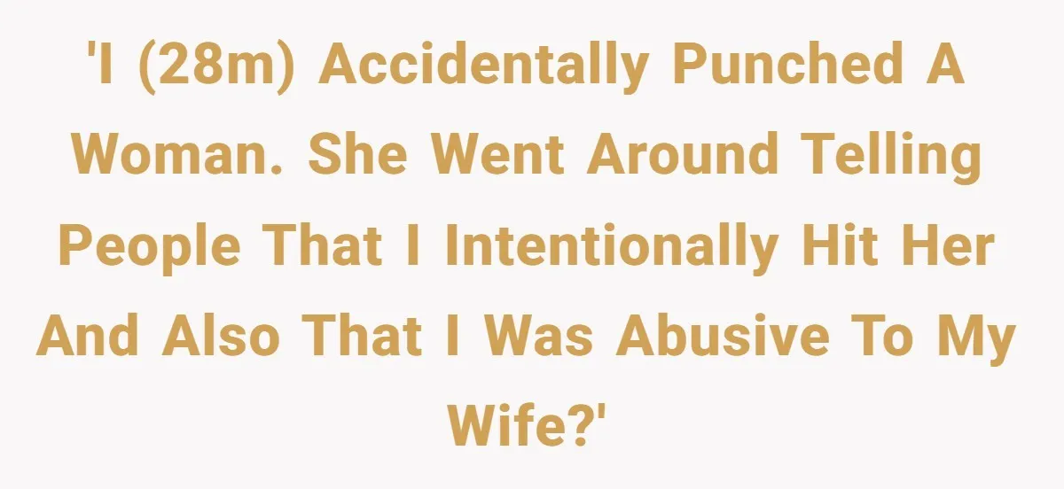 'I (28m) accidentally punched a woman. She went around telling people that I intentionally hit her and also that I was abusive to my wife?'