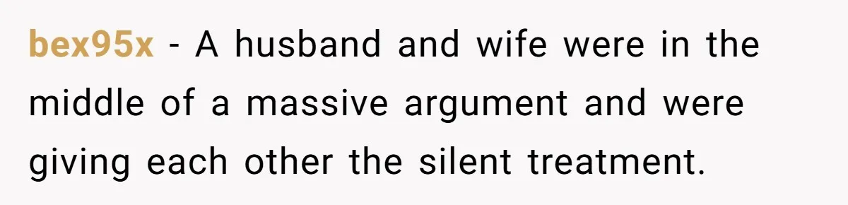 bex95x − A husband and wife were in the middle of a massive argument and were giving each other the silent treatment.