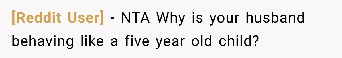 [Reddit User] − NTA Why is your husband behaving like a five year old child?