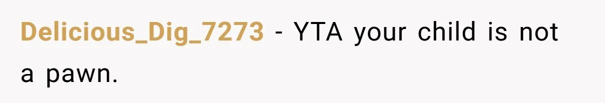 Delicious_Dig_7273 − YTA your child is not a pawn.