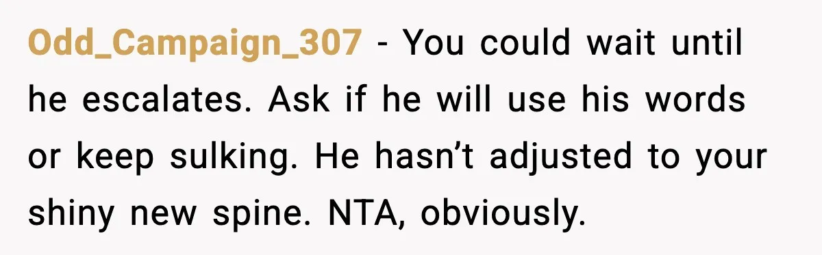 She Refuses to Chase His Silent Treatment After Getting Sick Odd_Campaign_307 - You could wait until he escalates. Ask if he will use his words or keep sulking. He hasn’t adjusted to your shiny new spine. NTA, obviously.