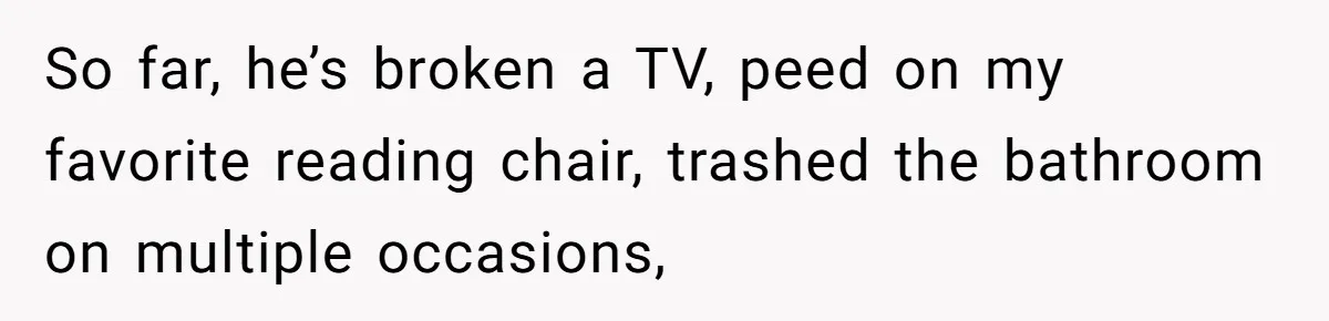 So far, he’s broken a TV, peed on my favorite reading chair, trashed the bathroom on multiple occasions,