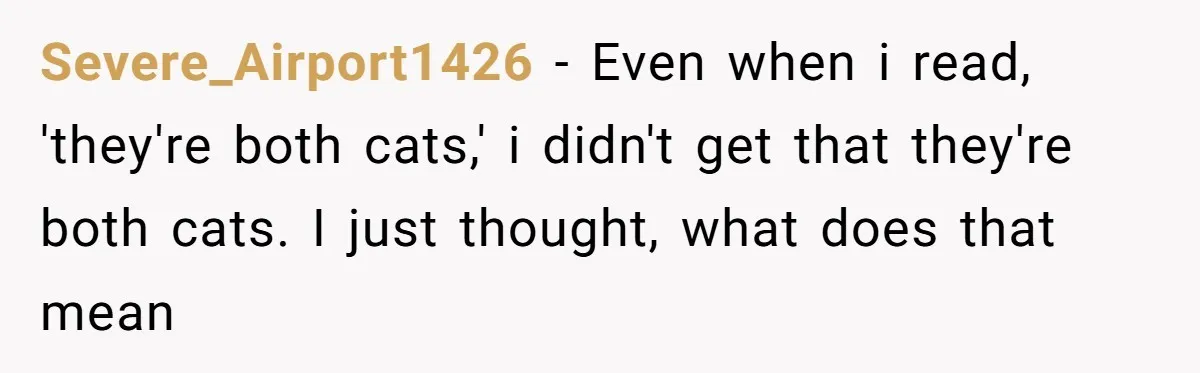 Severe_Airport1426 − Even when i read, 'they're both cats,' i didn't get that they're both cats. I just thought, what does that mean