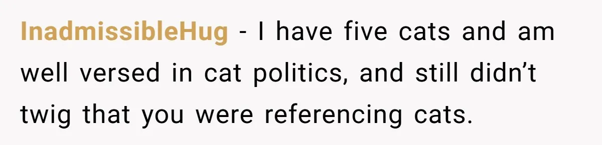 InadmissibleHug − I have five cats and am well versed in cat politics, and still didn’t twig that you were referencing cats.