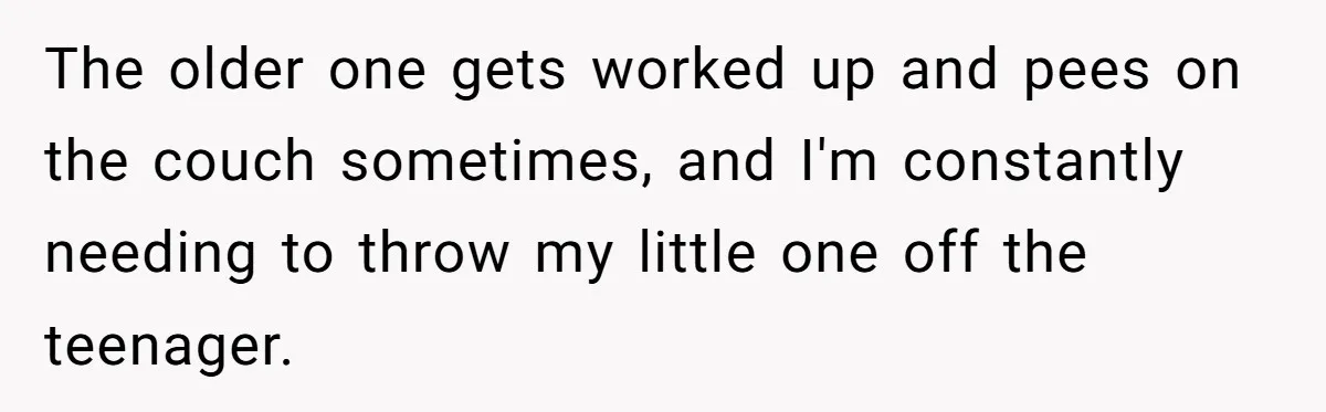The older one gets worked up and pees on the couch sometimes, and I'm constantly needing to throw my little one off the teenager.