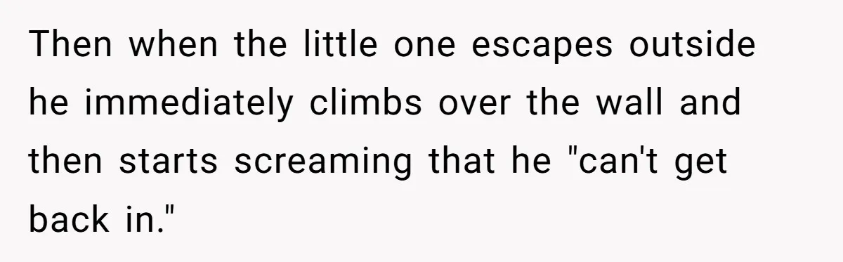 Then when the little one escapes outside he immediately climbs over the wall and then starts screaming that he "can't get back in."