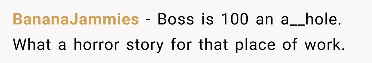 Woman Desperately Begs Ex-Husband To Date Her Friends After Learning Who He's Seeing BananaJammies − Boss is 100 an a__hole. What a horror story for that place of work.