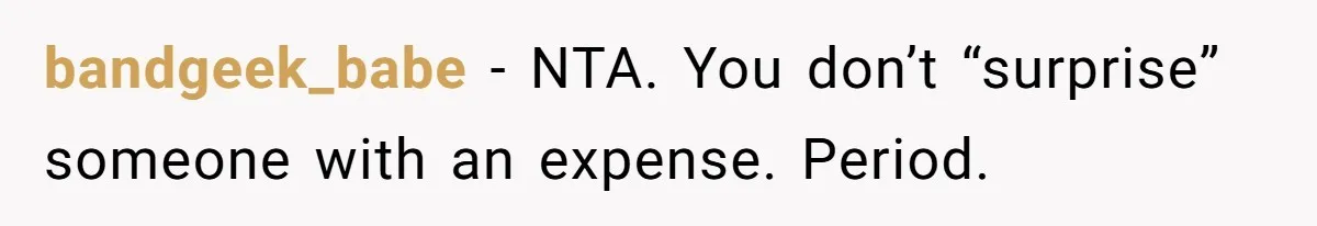 bandgeek_babe − NTA. You don’t “surprise” someone with an expense. Period.