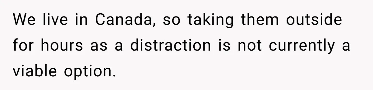 We live in Canada, so taking them outside for hours as a distraction is not currently a viable option.