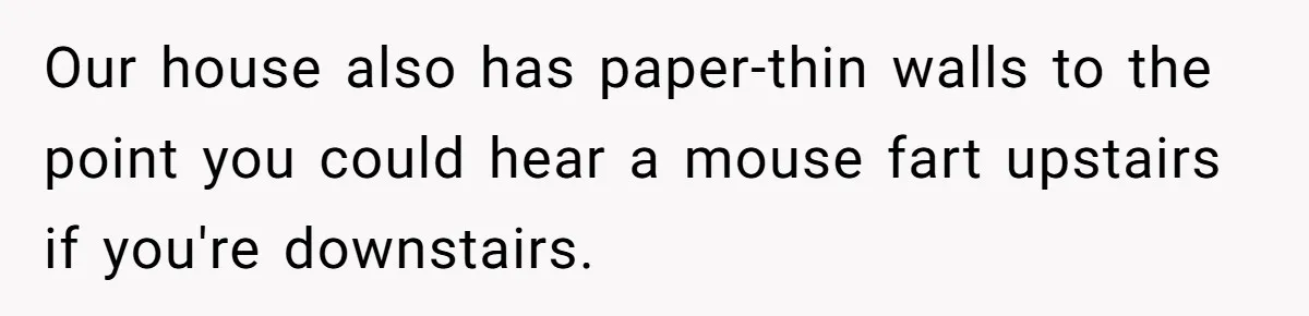Our house also has paper-thin walls to the point you could hear a mouse fart upstairs if you're downstairs.