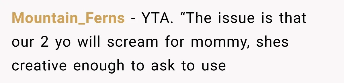 Mountain_Ferns − YTA. “The issue is that our 2 yo will scream for mommy, shes creative enough to ask to use