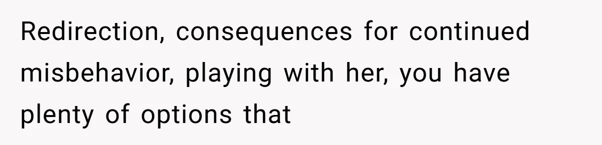 Redirection, consequences for continued misbehavior, playing with her, you have plenty of options that