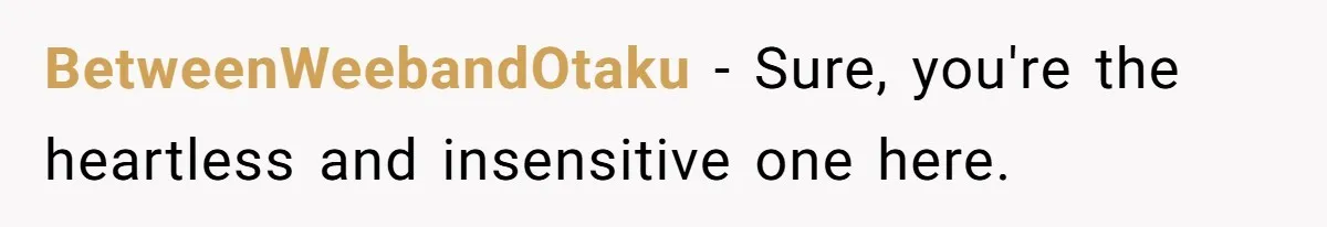 BetweenWeebandOtaku − Sure, you're the heartless and insensitive one here.