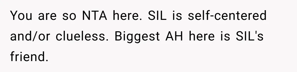 You are so NTA here. SIL is self-centered and/or clueless. Biggest AH here is SIL's friend.