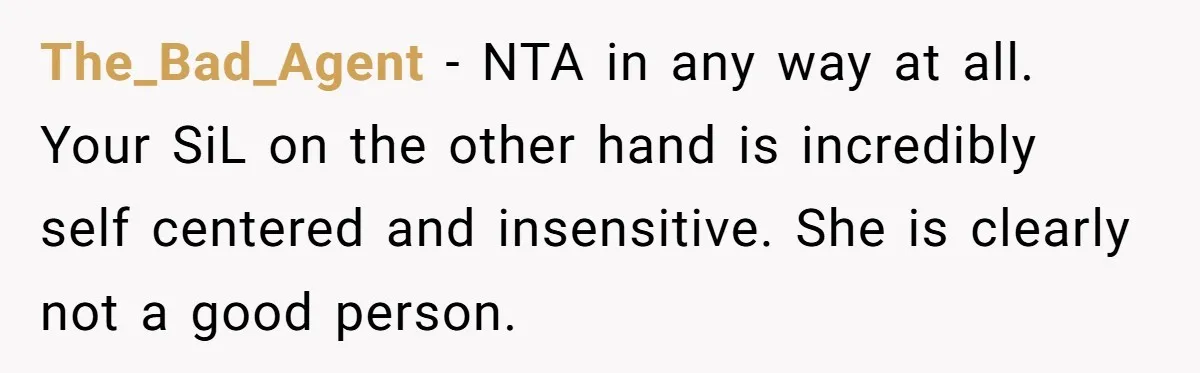 The_Bad_Agent − NTA in any way at all. Your SiL on the other hand is incredibly self centered and insensitive. She is clearly not a good person.