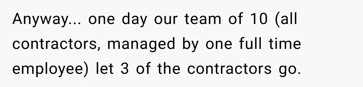 Anyway... one day our team of 10 (all contractors, managed by one full time employee) let 3 of the contractors go.