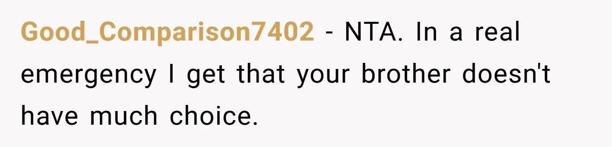 Good_Comparison7402 − NTA. In a real emergency I get that your brother doesn't have much choice.