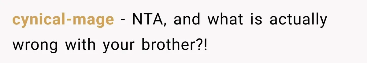 cynical-mage − NTA, and what is actually wrong with your brother?!