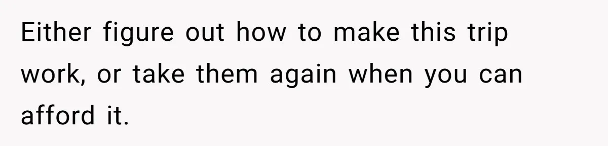 Either figure out how to make this trip work, or take them again when you can afford it.