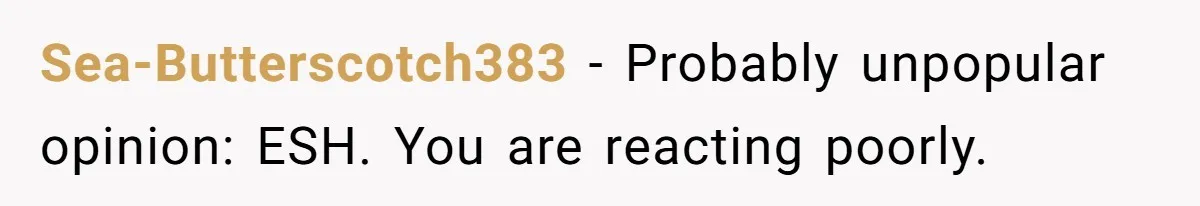 Sea-Butterscotch383 − Probably unpopular opinion: ESH. You are reacting poorly.