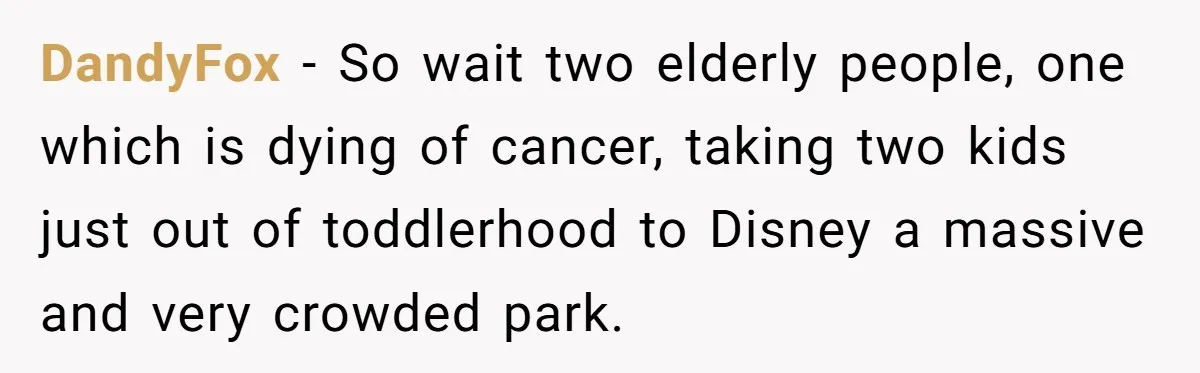 DandyFox − So wait two elderly people, one which is dying of cancer, taking two kids just out of toddlerhood to Disney a massive and very crowded park.
