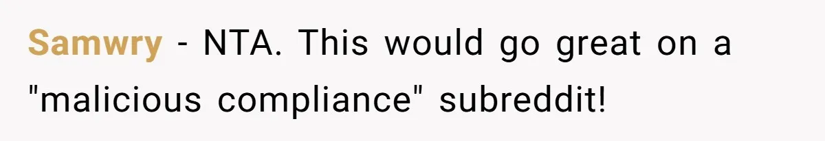 Samwry − NTA. This would go great on a "malicious compliance" subreddit!