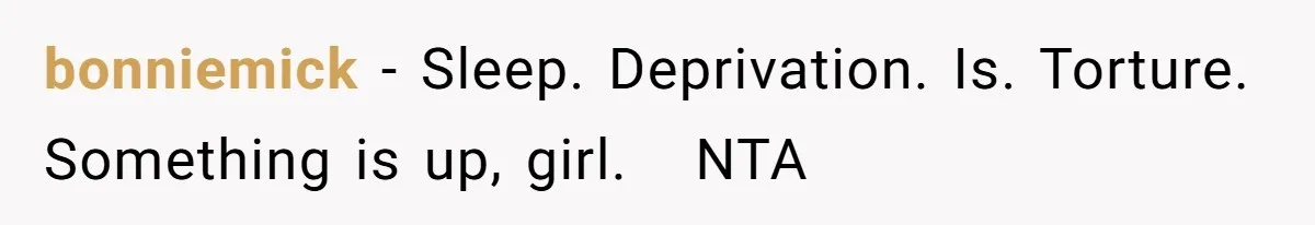 bonniemick − Sleep. Deprivation. Is. Torture. Something is up, girl.   NTA