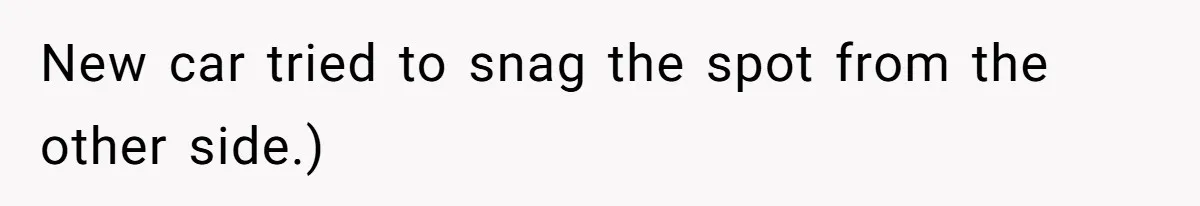 New car tried to snag the spot from the other side.)