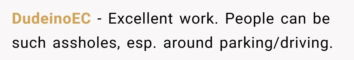 DudeinoEC − Excellent work. People can be such assholes, esp. around parking/driving.