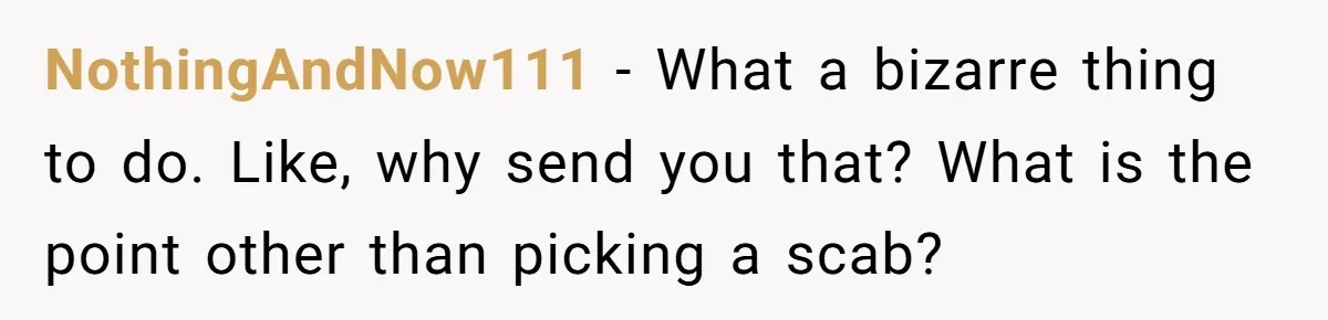 When Politics Tear a Family Apart: One Woman’s Emotional Decision to Choose Peace NothingAndNow111 − What a bizarre thing to do. Like, why send you that? What is the point other than picking a scab?