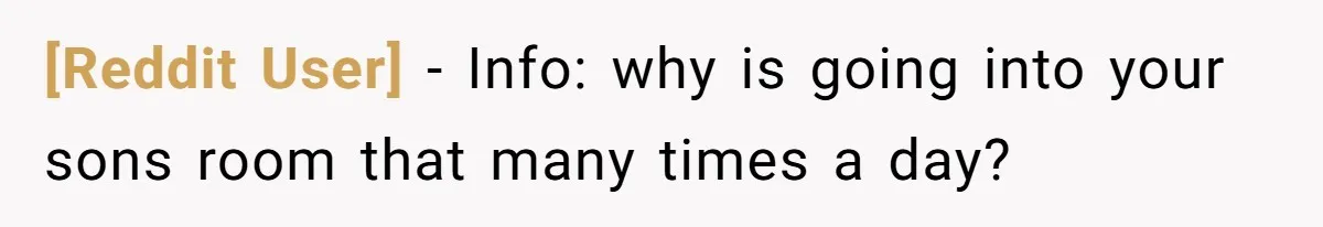 [Reddit User] − Info: why is going into your sons room that many times a day?