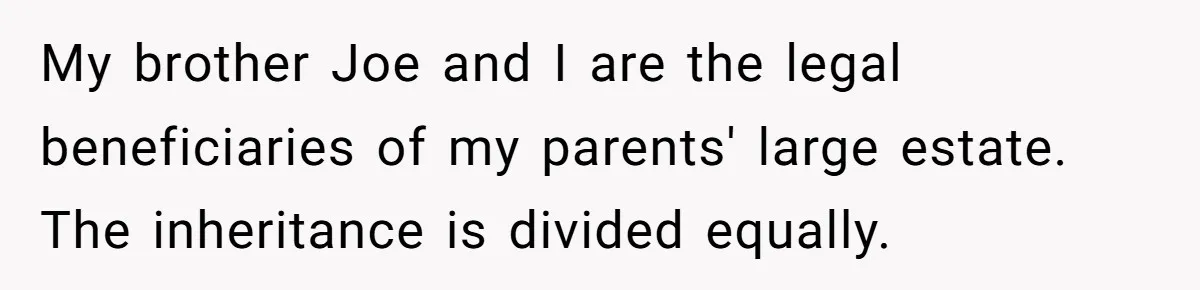 Brother Demands Entire Inheritance After Sister Pays Out-Of-Pocket for Mom’s Professional Care My brother Joe and I are the legal beneficiaries of my parents' large estate. The inheritance is divided equally.