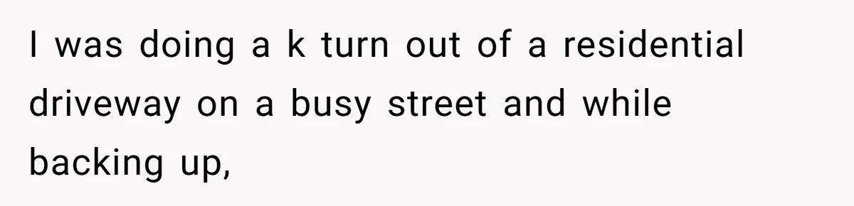 I was doing a k turn out of a residential driveway on a busy street and while backing up,