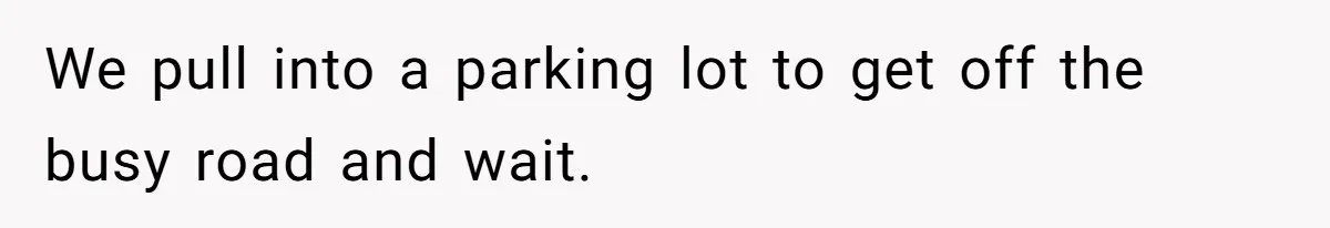 We pull into a parking lot to get off the busy road and wait.