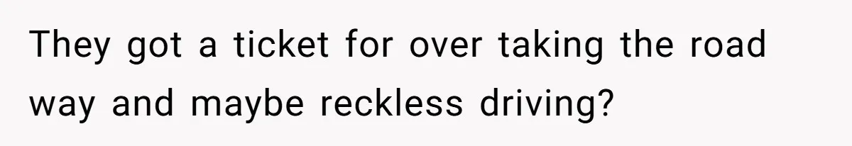 They got a ticket for over taking the road way and maybe reckless driving?
