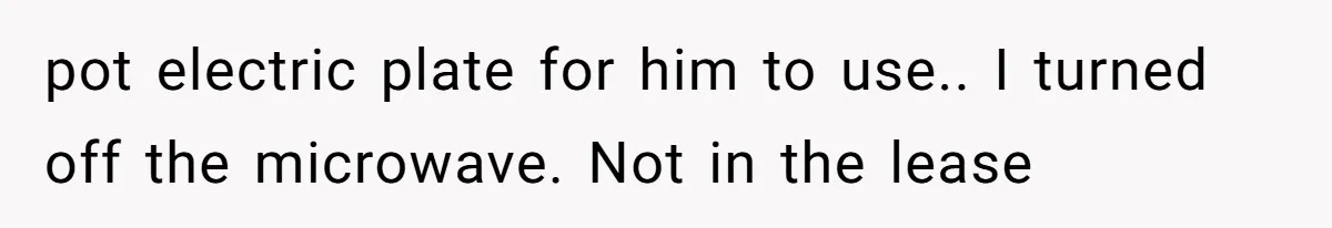 pot electric plate for him to use.. I turned off the microwave. Not in the lease