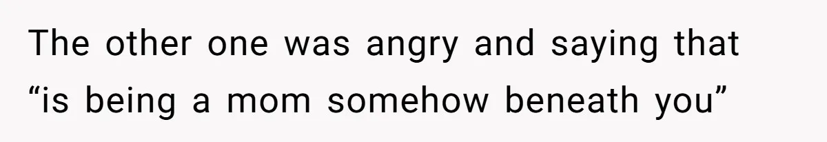 The other one was angry and saying that “is being a mom somehow beneath you”