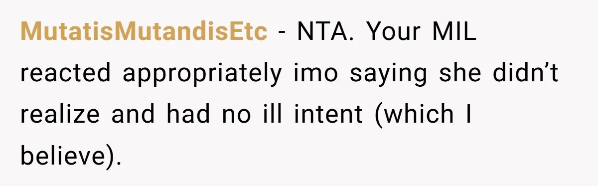 MutatisMutandisEtc − NTA. Your MIL reacted appropriately imo saying she didn’t realize and had no ill intent (which I believe).