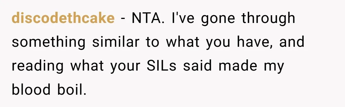 discodethcake − NTA. I've gone through something similar to what you have, and reading what your SILs said made my blood boil.