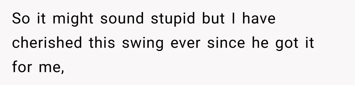 So it might sound stupid but I have cherished this swing ever since he got it for me,